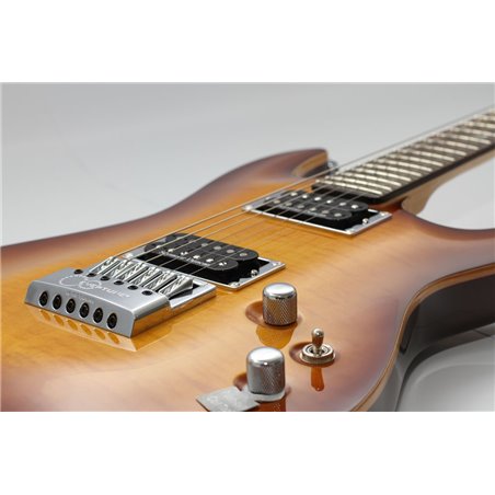 E-Gitarre VGS Pro Series Stage One