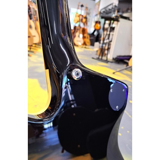 Ibanez PS3CM Paul Stanley Signature Cracked Mirror Iceman