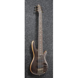 IBANEZ SR-Serie Prestige Made in Japan E-Bass 6 String Oil