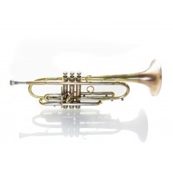 Lotus Rapa 4-Valve