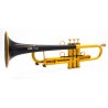 daCarbo Unica Bb Trompete Gold Matt
