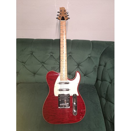 Samick Greg Bennett Design E-Gitarre (Gebraucht)