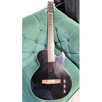 Washburn SBF-80 1992 Elektro Akustik Gitarre B-Stock