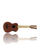 Ukulelen