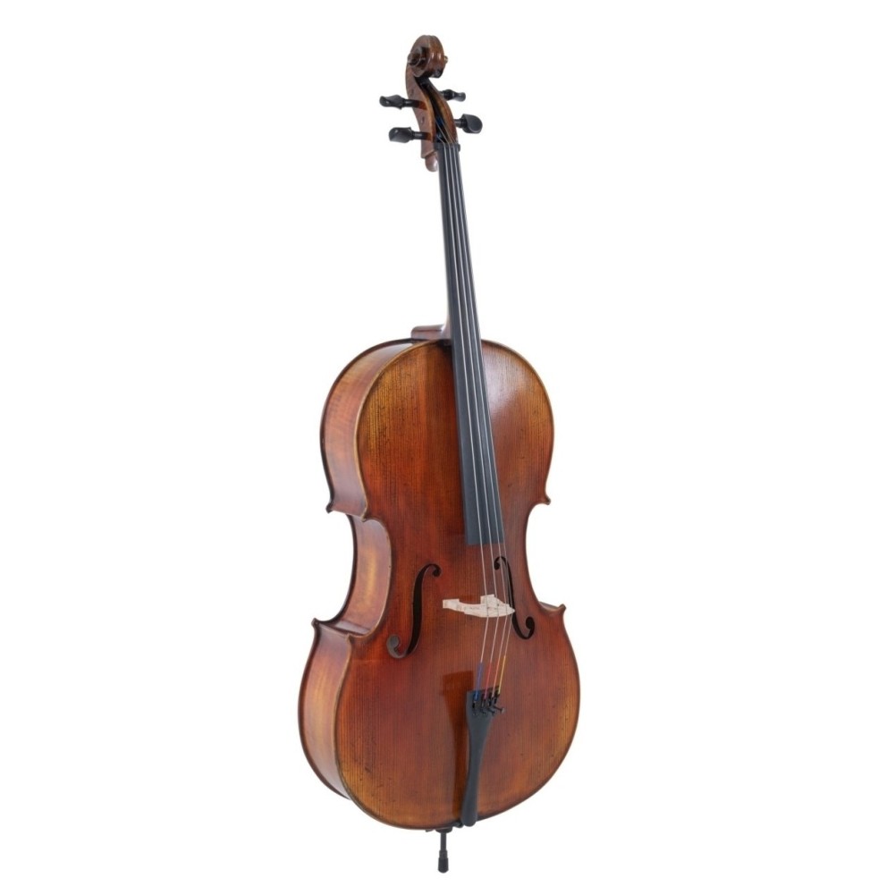 Cello kaufen vom Haus der Musik Stefan Maier!